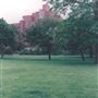 King Edward VII Memorial Park