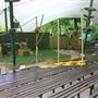 London Zoo