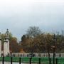 Buckingham Palace area