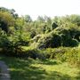 Sydenham Hill Wood