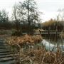 Camley Street Natural Park