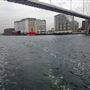 London's Royal Docks - Royal Victoria Dock