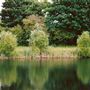 Bedfont Lakes Country Park