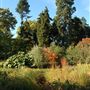 Royal Botanic Gardens, Kew