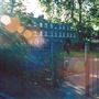 Albert Gardens