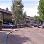 Isle of Dogs