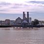 Isle of Dogs