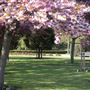 City of London Cemetery