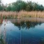 Lee Valley Park
