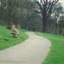 Maryon Wilson Park