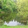 Victoria Park