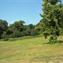 Oxleas Woods, Jack Wood and Castlewood