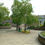 Christ's School
