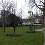 The Tibetan Peace Garden