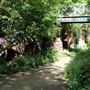 Parkland Walk