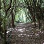 Parkland Walk