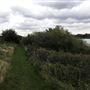 Welsh Harp Resevoir