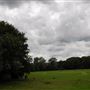 Highgate Wood
