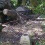 Hertford Road Cemetery