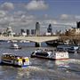 Golden Jubilee Bridges