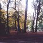 Canons Park Estate