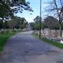Tottenham Cemetery