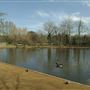 Tooting Bec Common