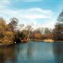 Wandsworth Common
