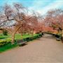 King George's Park