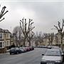 New Cross area