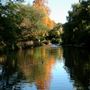 Chiswick House Grounds