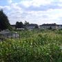 White Hart Lane Allotments