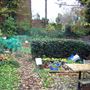Queen's Wood Cafe
