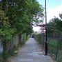 Cross Lane