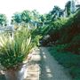 Hampstead Heath - the Hill Garden and Pergola