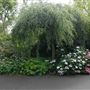 Hampstead Heath - the Hill Garden and Pergola