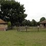 Newham City Farm