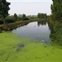 Walthamstow Reservoirs