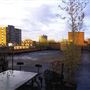 Gibson/Martelli Studio