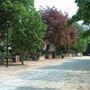 Barnmead and Plawsfield Roads