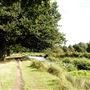 Bushy Park