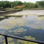Wandle Valley Sewage Treatment Works
