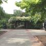 King Square