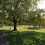 Hilly Fields