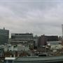 Views from Freemasons' Hall