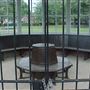 Myatt's Fields Park