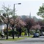 Whitmore Road