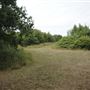 Whitings Wood