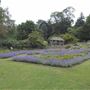 The Terrace Gardens
