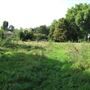 Pesthouse Common
